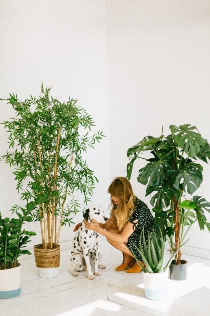 Lady with her dog